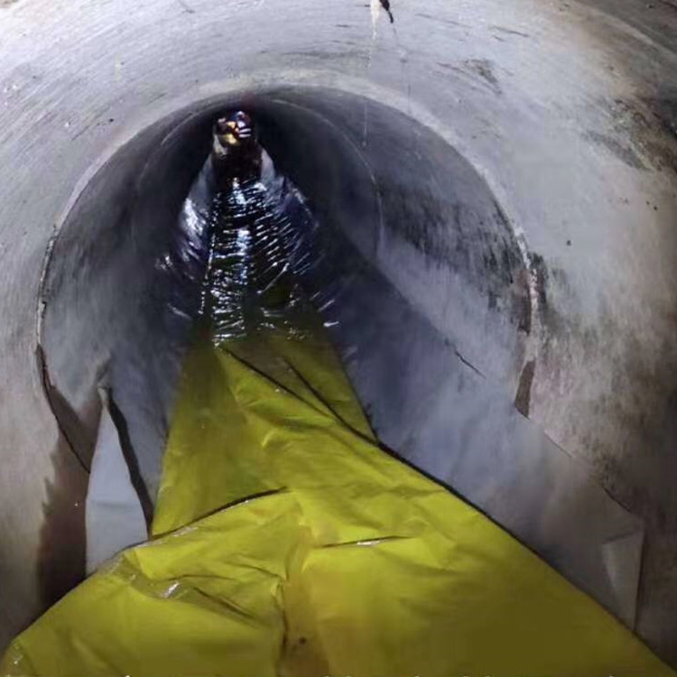 黄州管道光固化修复